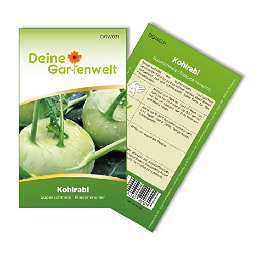 Deine Gartenwelt Kohlrabi Gesund