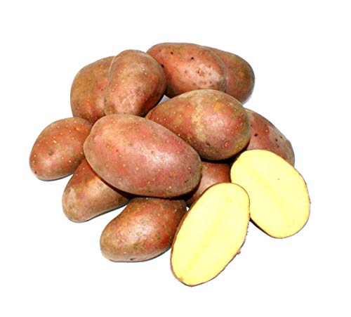 Lamera Kartoffeln Kohlenhydrate