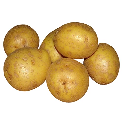Schleuderhannes Keimende Kartoffeln