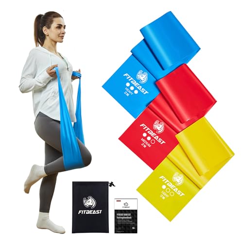 Fitbeast Theraband