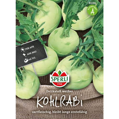 Sperli Kohlrabi Gesund